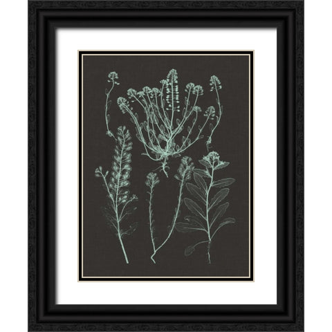 Mint and Charcoal Nature Study III Black Ornate Wood Framed Art Print with Double Matting by Vision Studio