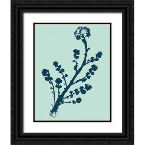 Indigo and Mint Botanical Study II Black Ornate Wood Framed Art Print with Double Matting by Vision Studio