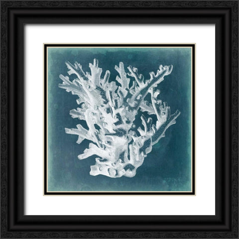 Azure Coral I Black Ornate Wood Framed Art Print with Double Matting by Vision Studio