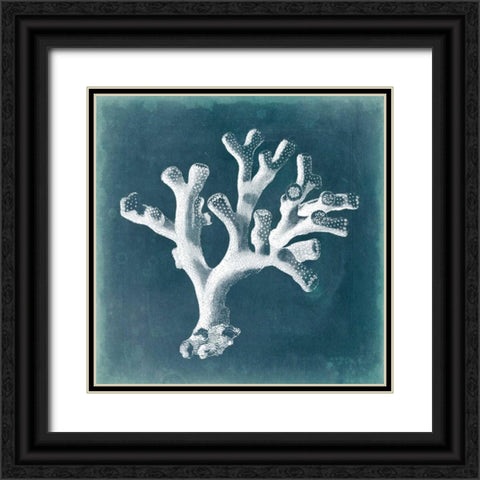 Azure Coral II Black Ornate Wood Framed Art Print with Double Matting by Vision Studio