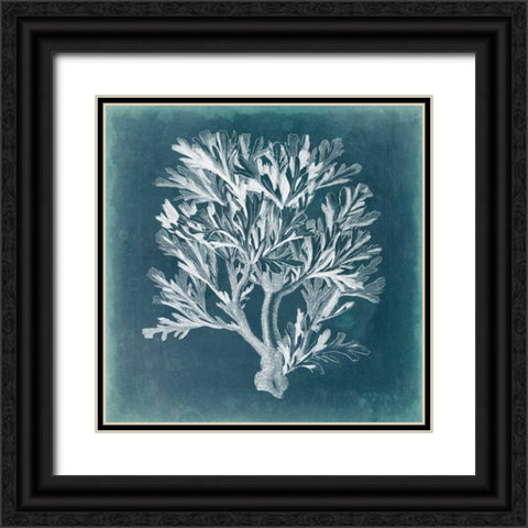 Azure Coral IV Black Ornate Wood Framed Art Print with Double Matting by Vision Studio