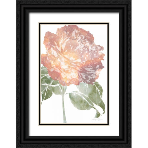 Watercolor Bloom I Black Ornate Wood Framed Art Print with Double Matting by Goldberger, Jennifer