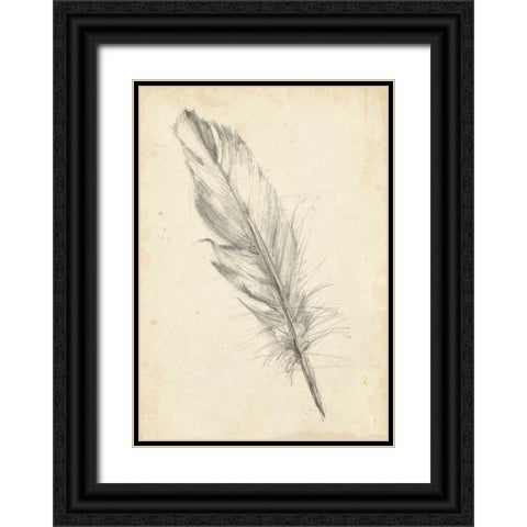 Feather Sketch III Black Ornate Wood Framed Art Print with Double Matting by Harper, Ethan