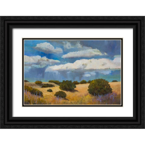 Brewing Storm Black Ornate Wood Framed Art Print with Double Matting by DAgostino, Judith