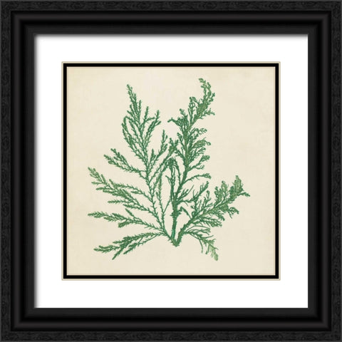 Chromatic Seaweed I Black Ornate Wood Framed Art Print with Double Matting by Vision Studio