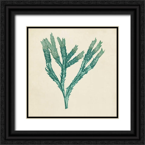 Chromatic Seaweed III Black Ornate Wood Framed Art Print with Double Matting by Vision Studio