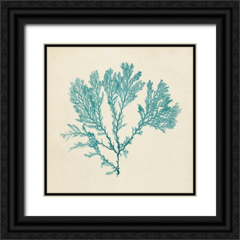Chromatic Seaweed VIII Black Ornate Wood Framed Art Print with Double Matting by Vision Studio