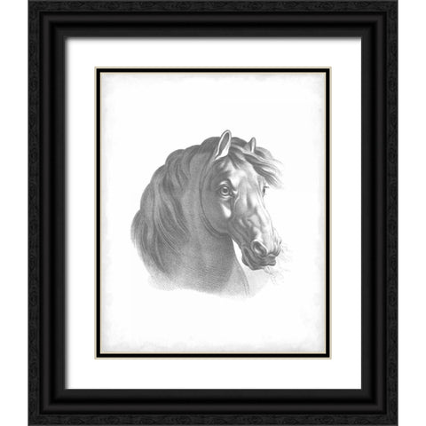 Equestrian Blueprint II Black Ornate Wood Framed Art Print with Double Matting by Vision Studio