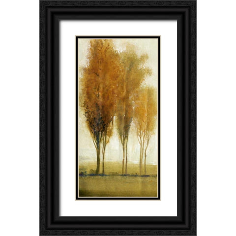 Balance I Black Ornate Wood Framed Art Print with Double Matting by OToole, Tim