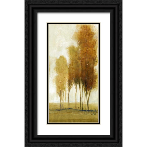 Balance II Black Ornate Wood Framed Art Print with Double Matting by OToole, Tim