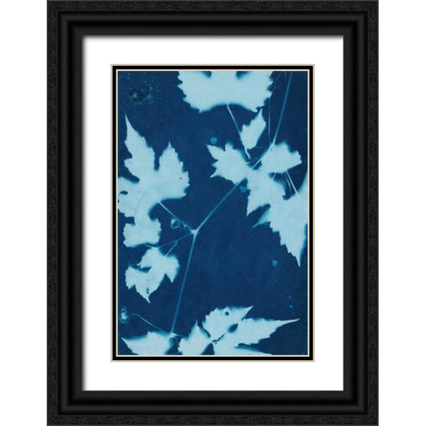 Cyanotype No.9 Black Ornate Wood Framed Art Print with Double Matting by Stramel, Renee W.