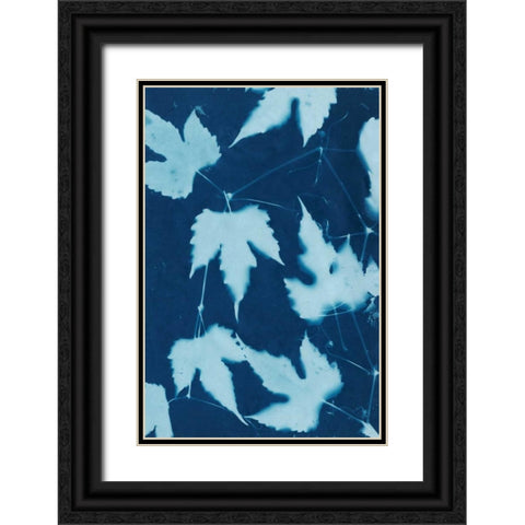 Cyanotype No.10 Black Ornate Wood Framed Art Print with Double Matting by Stramel, Renee W.
