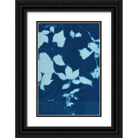 Cyanotype No.12 Black Ornate Wood Framed Art Print with Double Matting by Zarris, Chariklia