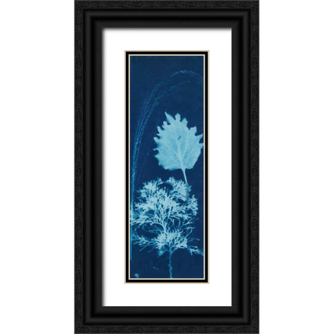 Cyanotype No.13 Black Ornate Wood Framed Art Print with Double Matting by Guthrie, Jenna