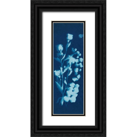 Cyanotype No.14 Black Ornate Wood Framed Art Print with Double Matting by Guthrie, Jenna