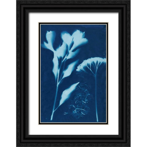 Cyanotype No.15 Black Ornate Wood Framed Art Print with Double Matting by Guthrie, Jenna