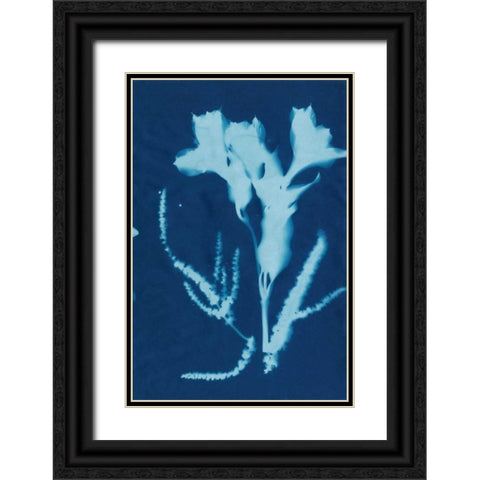 Cyanotype No.17 Black Ornate Wood Framed Art Print with Double Matting by Guthrie, Jenna