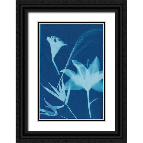 Cyanotype No.19 Black Ornate Wood Framed Art Print with Double Matting by Guthrie, Jenna