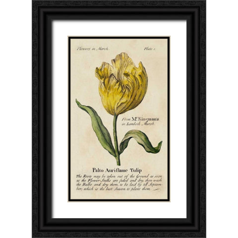 Gardeners Guide II Black Ornate Wood Framed Art Print with Double Matting by Unknown