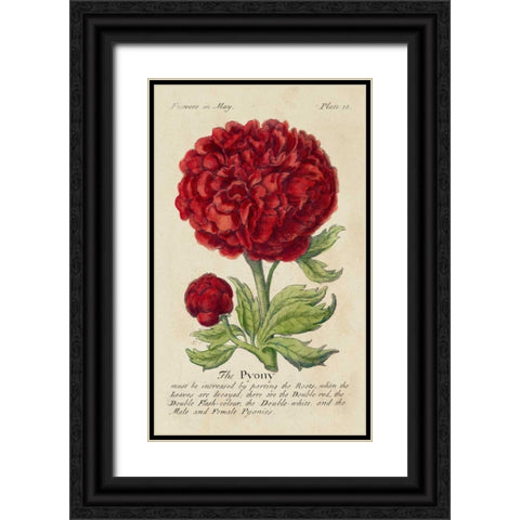 Gardeners Guide III Black Ornate Wood Framed Art Print with Double Matting by Unknown