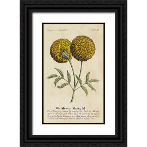 Gardeners Guide V Black Ornate Wood Framed Art Print with Double Matting by Unknown