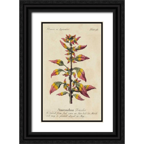 Gardeners Guide VI Black Ornate Wood Framed Art Print with Double Matting by Unknown