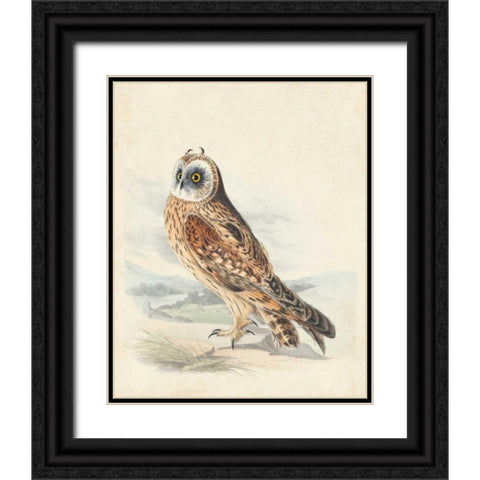 Meyer Hawk Owl Black Ornate Wood Framed Art Print with Double Matting by Meyer, H.L.