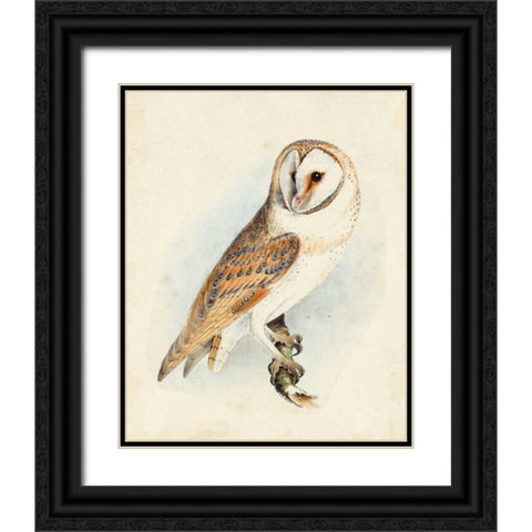 Meyer Barn Owl Black Ornate Wood Framed Art Print with Double Matting by Meyer, H.L.