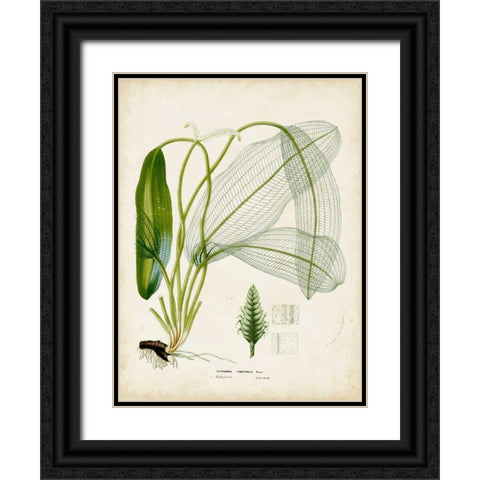 Tropical Grass II Black Ornate Wood Framed Art Print with Double Matting by Vision Studio