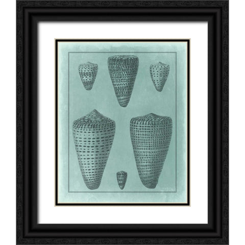 Spa Shell Collection I Black Ornate Wood Framed Art Print with Double Matting by Vision Studio