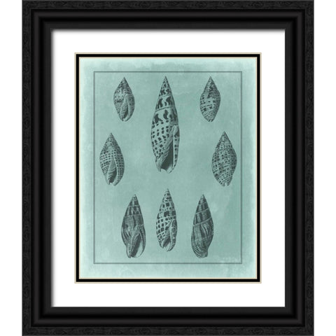 Spa Shell Collection IV Black Ornate Wood Framed Art Print with Double Matting by Vision Studio