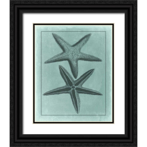 Spa Shell Collection VIII Black Ornate Wood Framed Art Print with Double Matting by Vision Studio