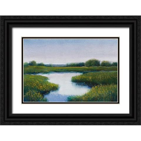 Marshlands II Black Ornate Wood Framed Art Print with Double Matting by OToole, Tim