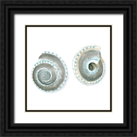 Watercolor Shells IV Black Ornate Wood Framed Art Print with Double Matting by Meagher, Megan