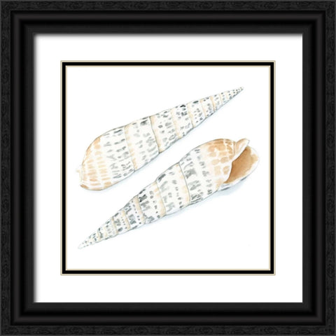 Watercolor Shells IX Black Ornate Wood Framed Art Print with Double Matting by Meagher, Megan