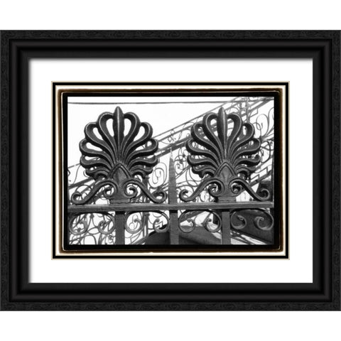 Wrought Iron Elegance I Black Ornate Wood Framed Art Print with Double Matting by DeNardo, Laura