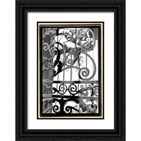 Wrought Iron Elegance II Black Ornate Wood Framed Art Print with Double Matting by DeNardo, Laura