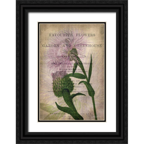 Favorite Flowers II Black Ornate Wood Framed Art Print with Double Matting by Butler, John