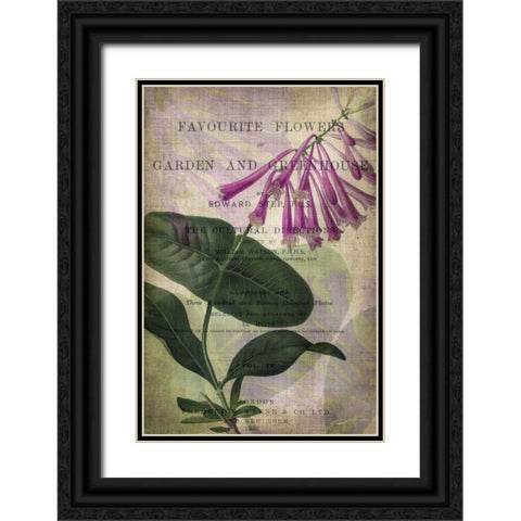 Favorite Flowers III Black Ornate Wood Framed Art Print with Double Matting by Butler, John