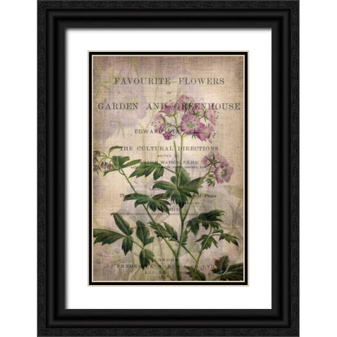 Favorite Flowers IV Black Ornate Wood Framed Art Print with Double Matting by Butler, John