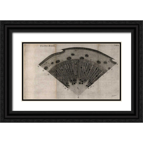 Tree Fan V Black Ornate Wood Framed Art Print with Double Matting by Butler, John