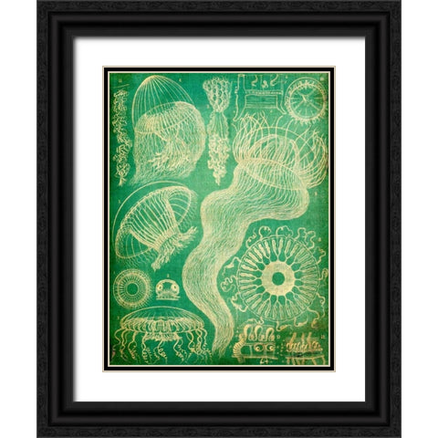 Sealife I Black Ornate Wood Framed Art Print with Double Matting by Butler, John