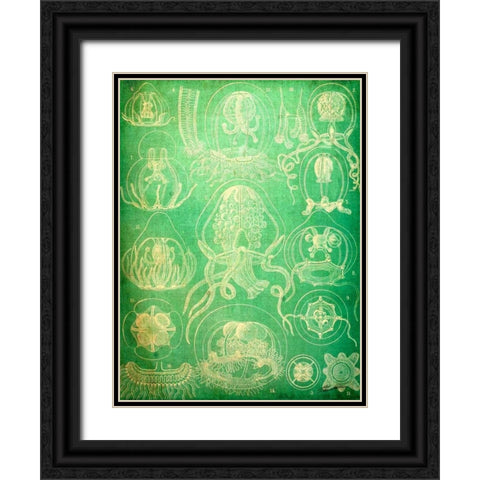 Sealife IV Black Ornate Wood Framed Art Print with Double Matting by Butler, John