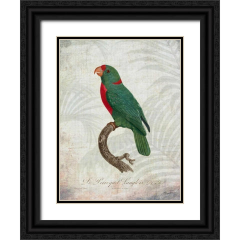 Parrot Jungle VI Black Ornate Wood Framed Art Print with Double Matting by Butler, John
