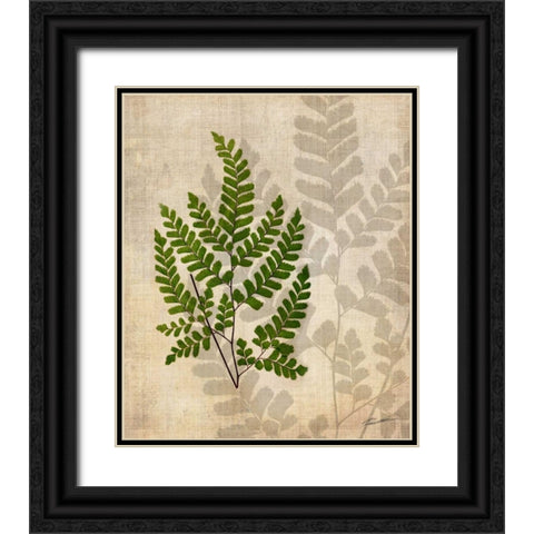 British Ferns VI Black Ornate Wood Framed Art Print with Double Matting by Butler, John