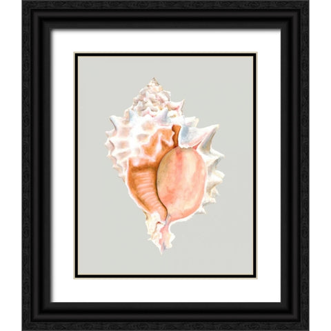 Pink Murex Black Ornate Wood Framed Art Print with Double Matting by Willett, Michael