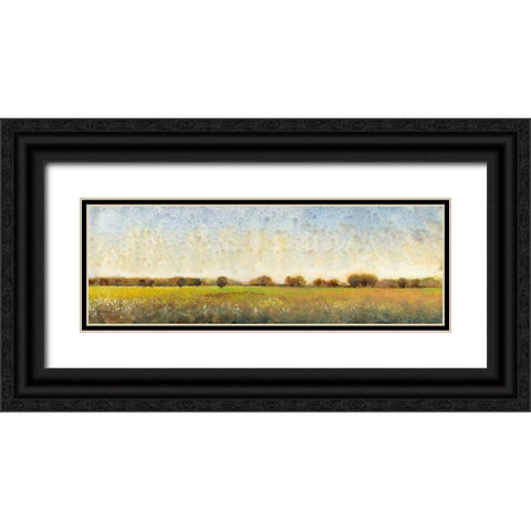 Flowering Meadow II Black Ornate Wood Framed Art Print with Double Matting by OToole, Tim