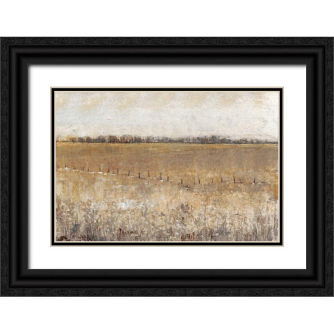 Fenced In I Black Ornate Wood Framed Art Print with Double Matting by OToole, Tim