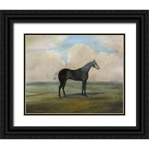 The Kicker- A Steel Grey Racehorse Black Ornate Wood Framed Art Print with Double Matting by McCavitt, Naomi