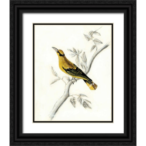 Rustic Aviary II Black Ornate Wood Framed Art Print with Double Matting by McCavitt, Naomi